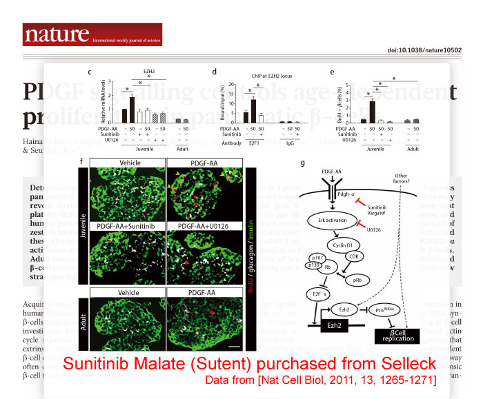IF of Sunitinib Malate (Sutent)