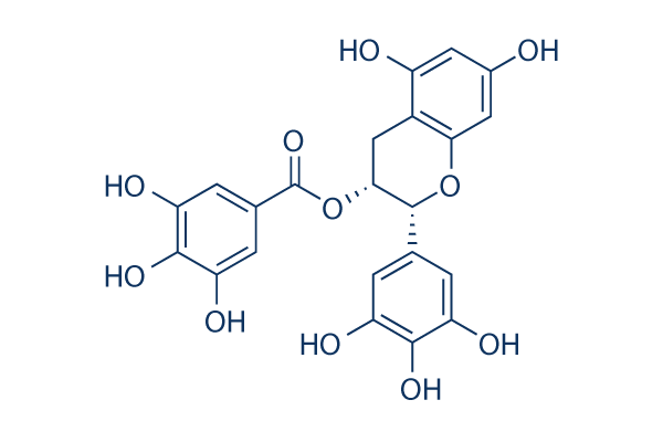 EGCG ((-)-Epigallocatechin Gallate) Chemical Structure