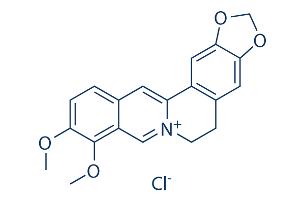 Image result for berberine