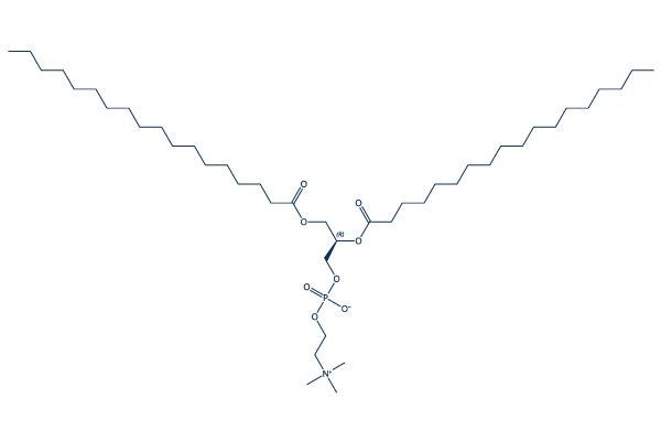 DSPC Chemical Structure