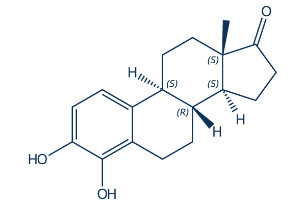 4-Hydroxyestrone Chemical Structure