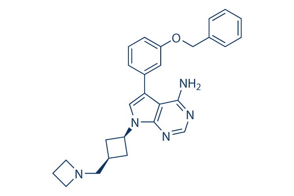 NVP-AEW541 Chemical Structure