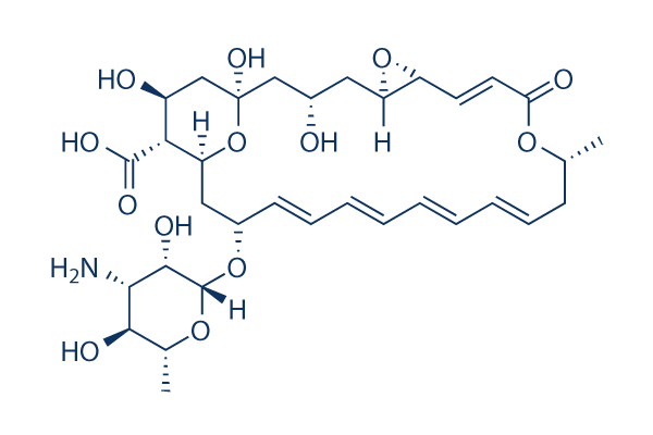 Natamycin(Pimaricin) Chemical Structure