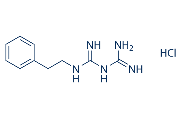 Phenformin HCl Chemical Structure
