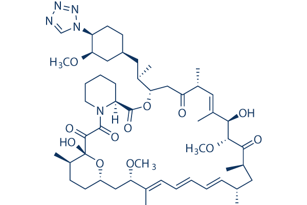 Zotarolimus (ABT-578) Chemical Structure