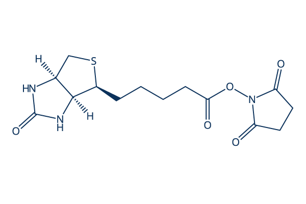 (+)-Biotin N-hydroxysuccinimide ester Chemical Structure