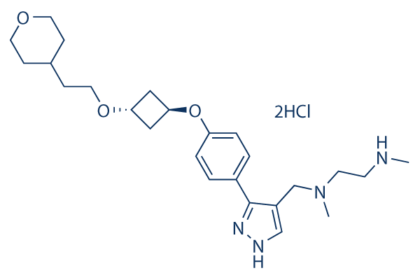 EPZ020411 2HCl Chemical Structure