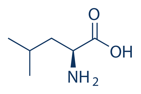 L-Leucine Chemical Structure