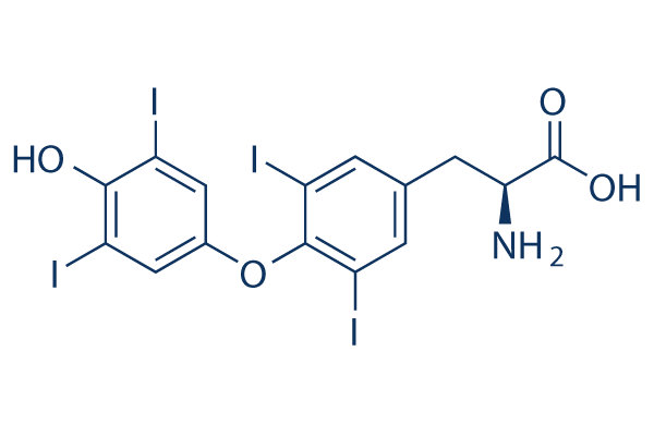 L-Thyroxine (Levothyroxine) Chemical Structure