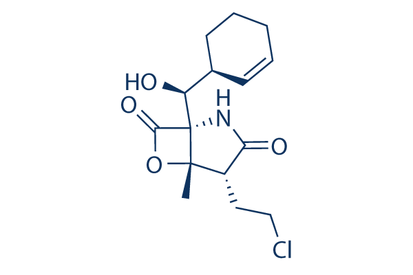 Marizomib (Salinosporamide A) Chemical Structure