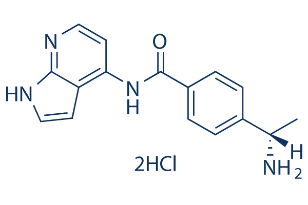 Y-39983 Dihydrochloride Chemical Structure