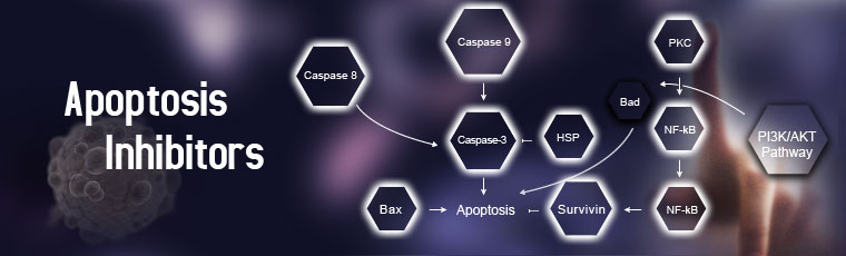 Apoptosis Inhibitors