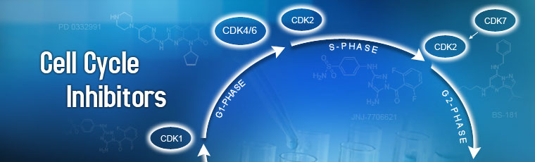Cell Cycle Inhibitors