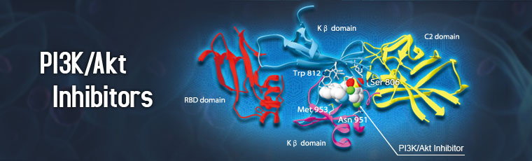 PI3K/Akt Inhibitors