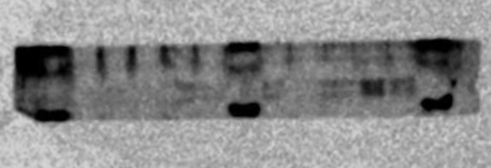 F0135-feedback-WB-1