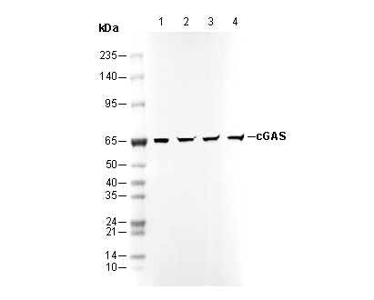 F0459-wb