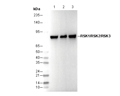F0506-wb