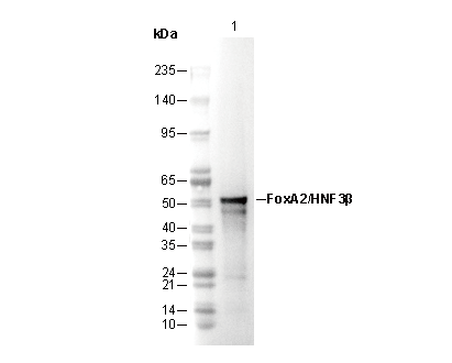F0627-wb