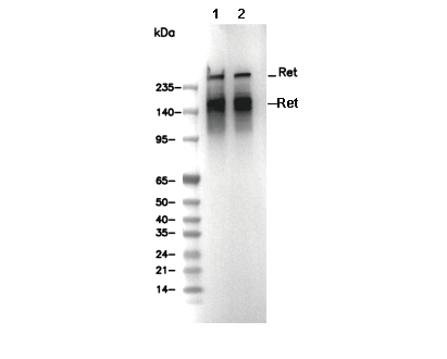 F0756-wb
