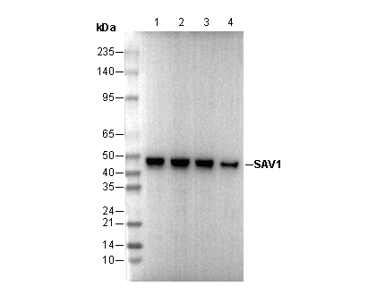 F0759-wb