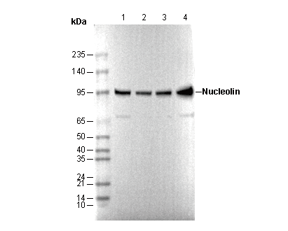 F0790-wb