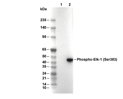 F0798-wb
