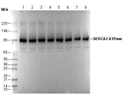 F0927-wb