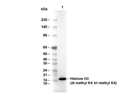 F2241-wb