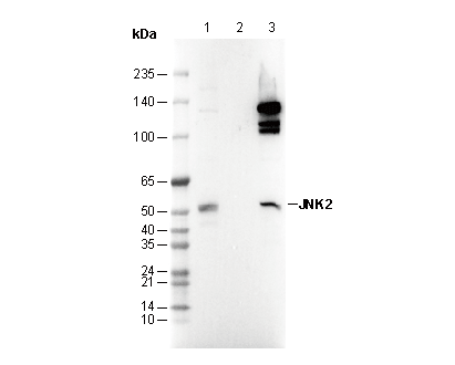 F2533-wb