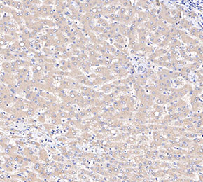 F2740-IHC1