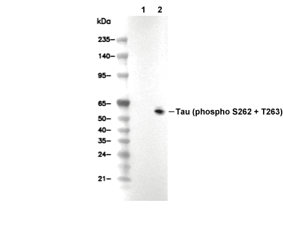 F2827-wb