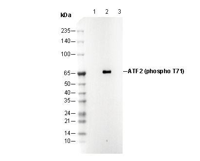 F2830-wb