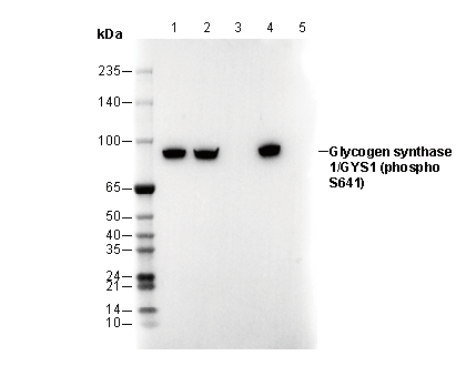 F2962-wb