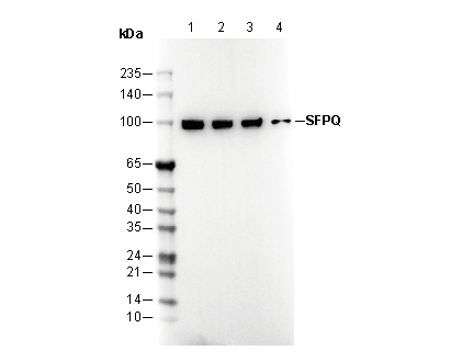 F3147-wb