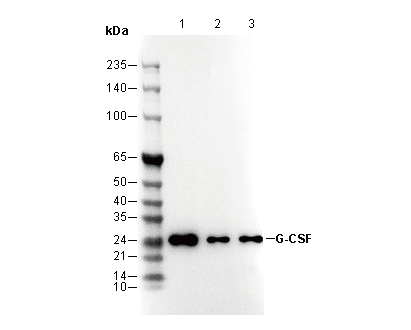 F3189-wb