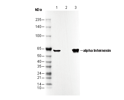 F3295-wb