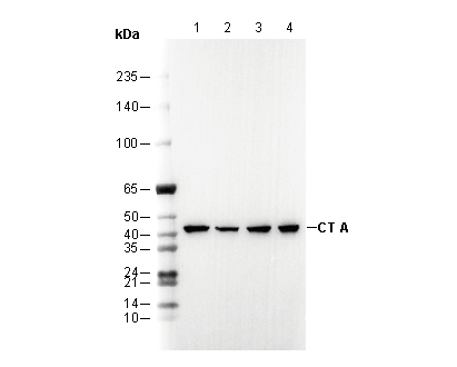 F3321-wb
