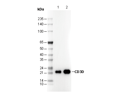 F3352-wb