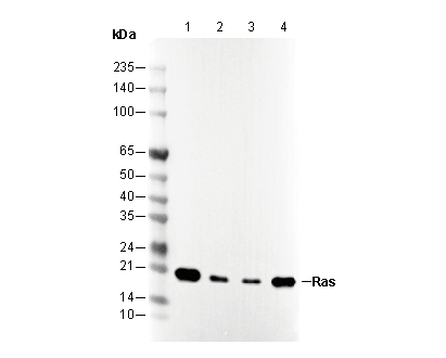 F3357-wb