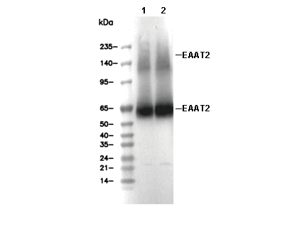 F3745-wb
