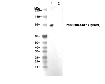 F4146-wb