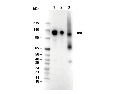 F4185-wb