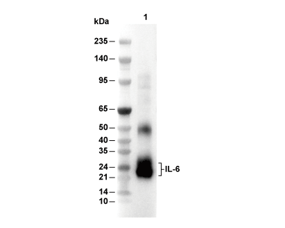 F4193-wb