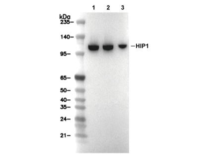 F5844-wb