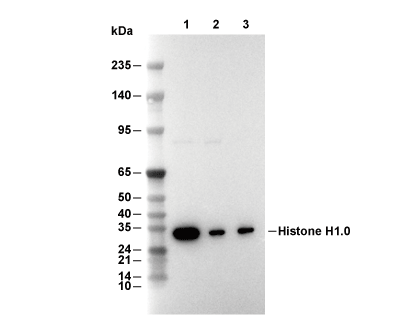 F6227-wb