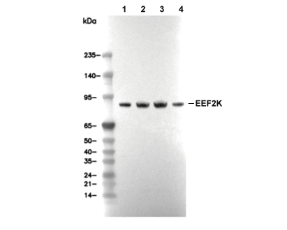 F7201-wb