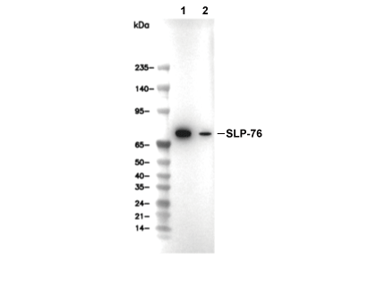 F7972-wb