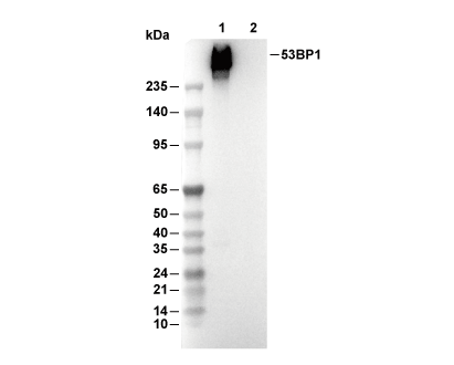 F8764-wb