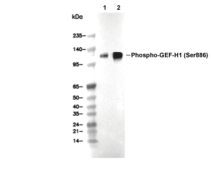 F8879-wb