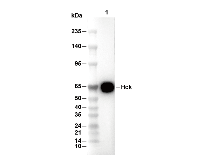 F8972-wb